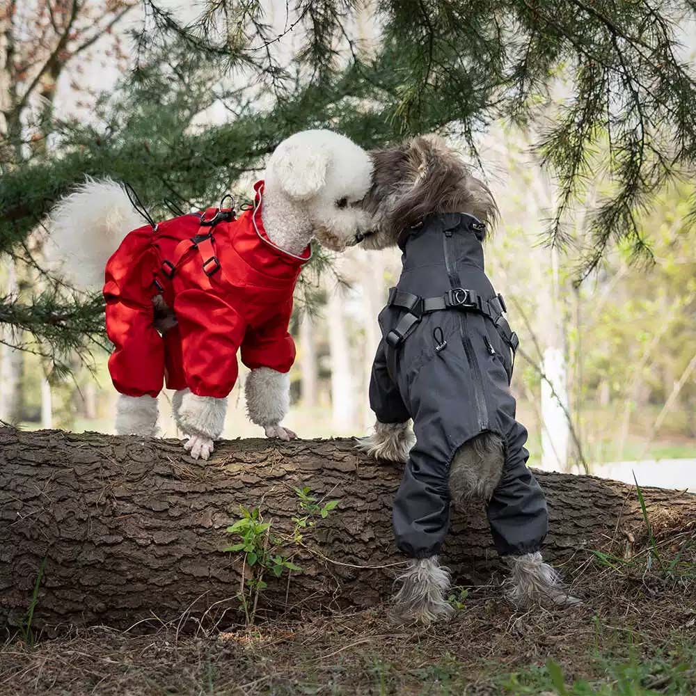 アウトドアやキャンプに最適なハーネス一体型犬用レインウェア。汚れを気にせず遊べる防水仕様で、小型犬同士のリンクコーデも楽しめるスタイリッシュなデザイン。