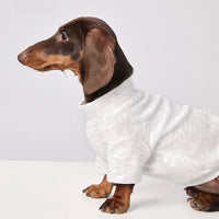  PETTENA SelectウォームTシャツ（ライトグレー）。明るく上品な色合いで愛犬の可愛らしさを引き立てる、春先まで長く着回せるシンプルで使いやすい定番色です。