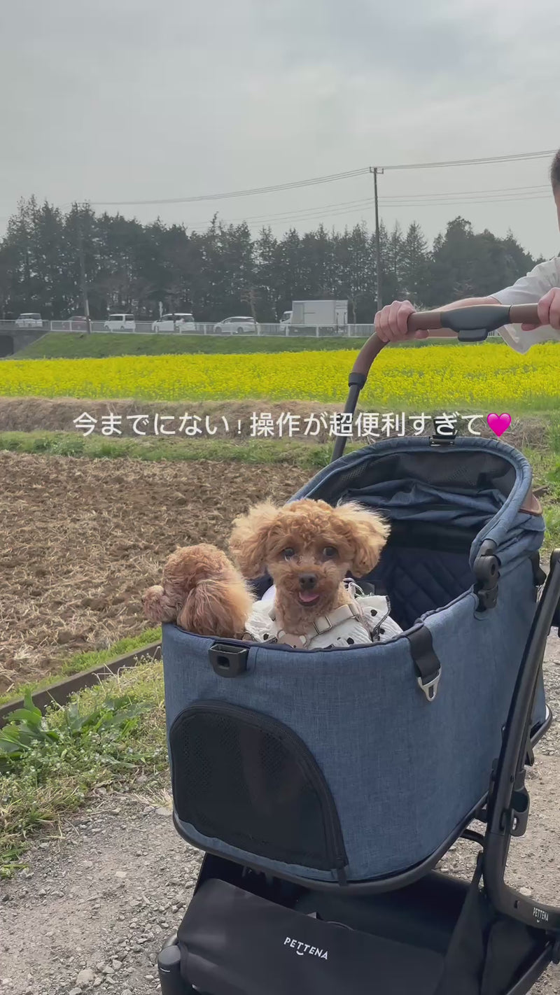小型犬をカートに乗せて散歩する