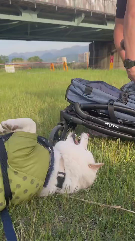 折りたたみ式ペットカートで犬とお出かけ