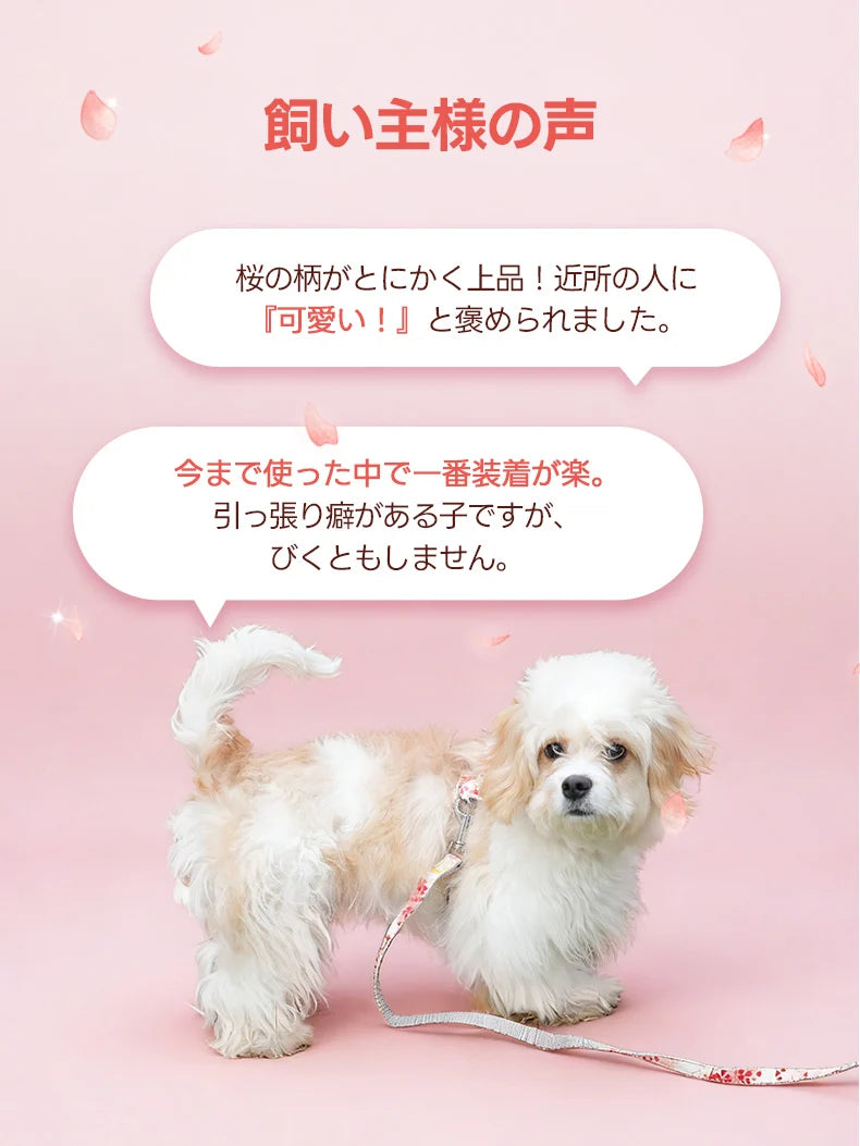 実際に使用した飼い主様から「上品で褒められた」「装着が楽で引っ張っても安心」と高い評価を得ている桜柄ハーネス。デザインの可愛さだけでなく、引っ張り癖のある犬でもびくともしない耐久性がユーザーの声で証明されている。