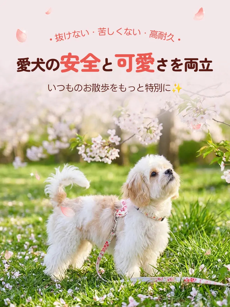 愛犬の安全と可愛さを両立させた、高耐久な桜柄ハーネス＆リードセット。首への負担が少ない設計で、長時間の散歩も快適。お花見シーズンに最適なデザインが、飼い主とペットの特別な思い出作りをサポートする。