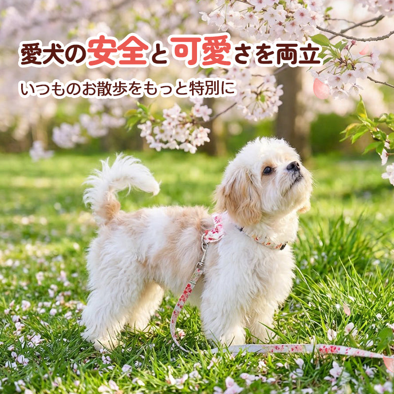 「抜けない・苦しくない・高耐久」という安全性を確保しながら、愛犬の可愛さを両立。いつものお散歩を特別にする、機能性と美しさを備えたハーネスセット。桜の景色に映えるデザインで、春のお出かけを彩る。
