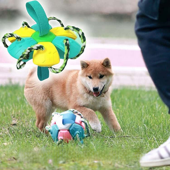 犬用外で遊ぶおもちゃ